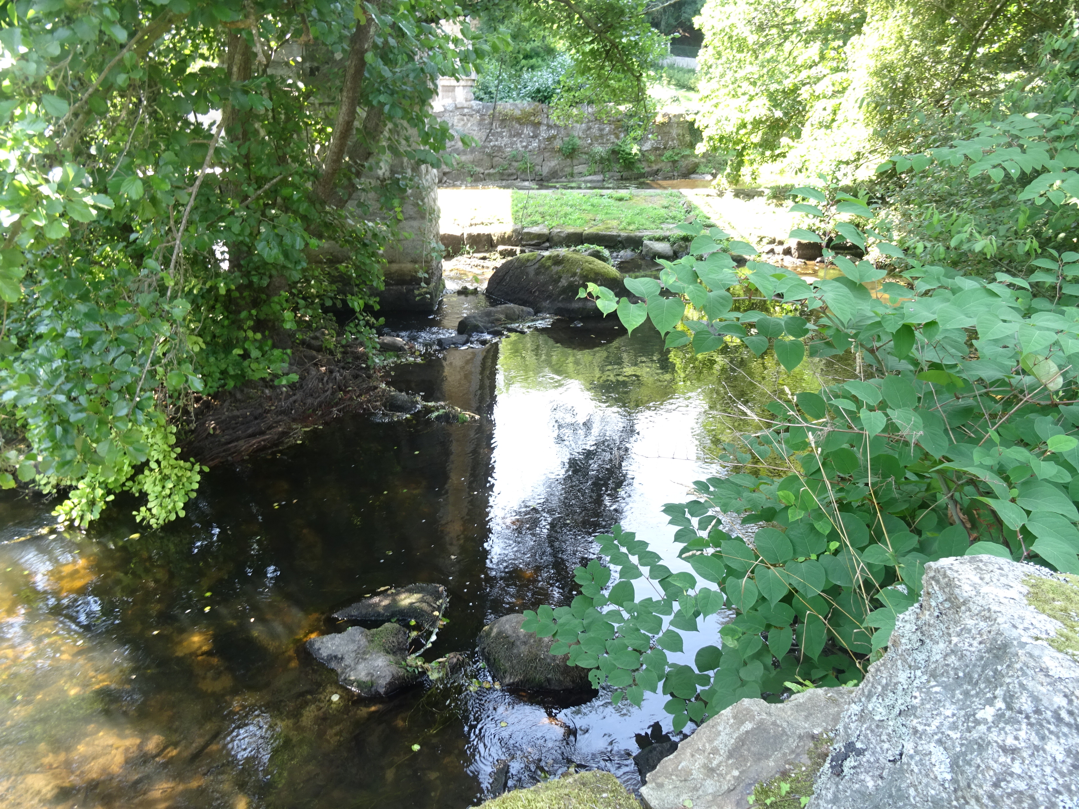 DSC00970
