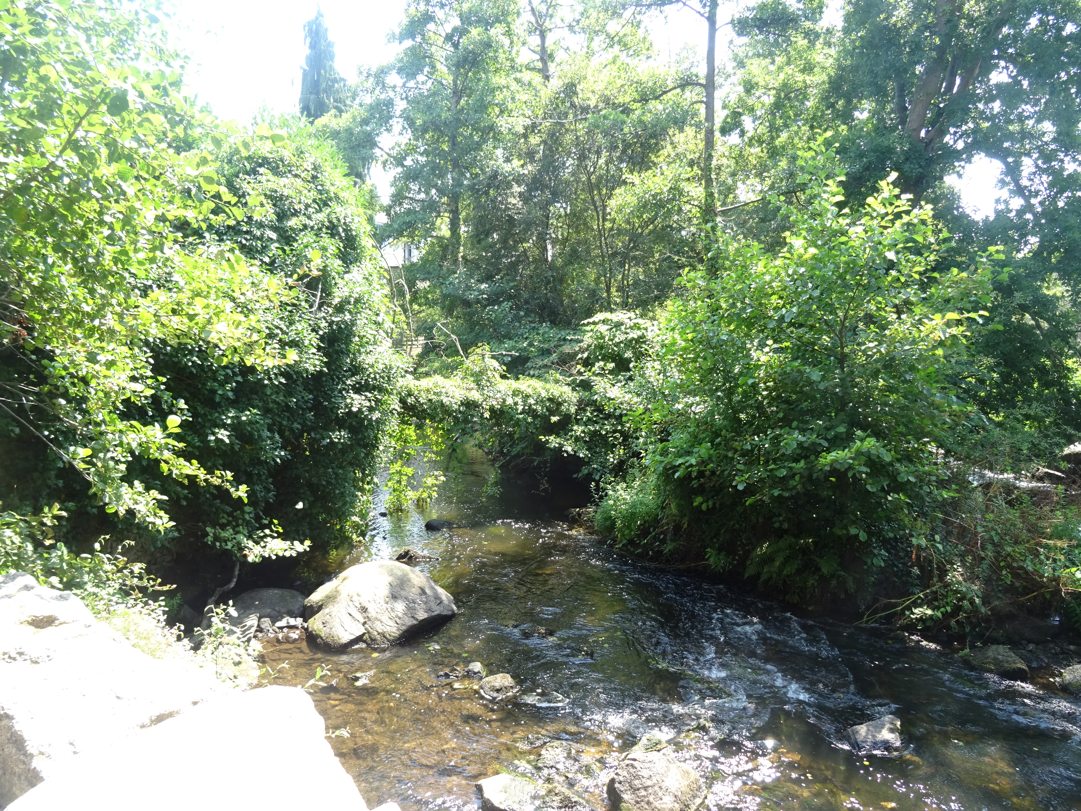 DSC00971