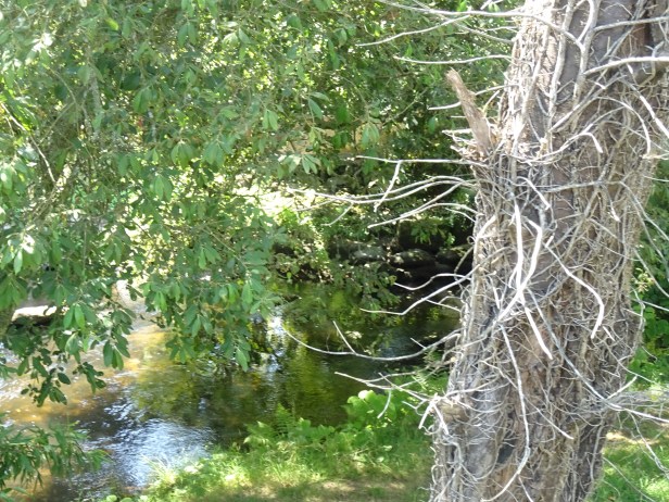 DSC00975