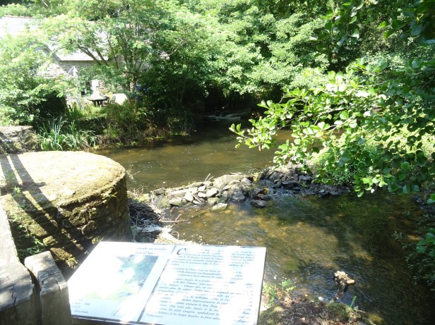 DSC00977