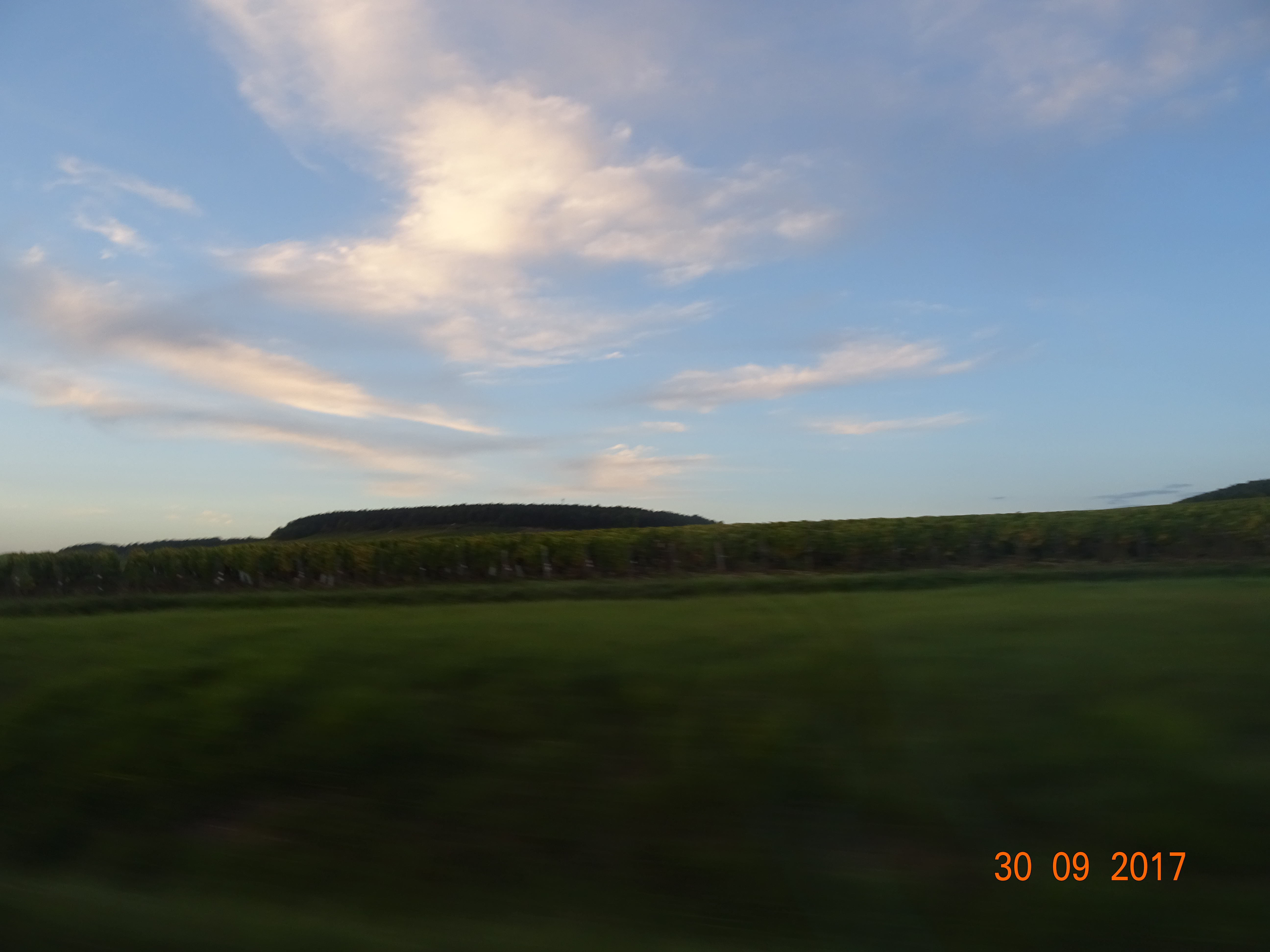 DSC01287