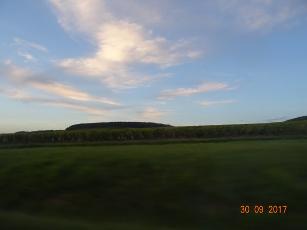 DSC01287