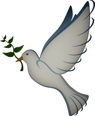 dove-41260_960_720.png