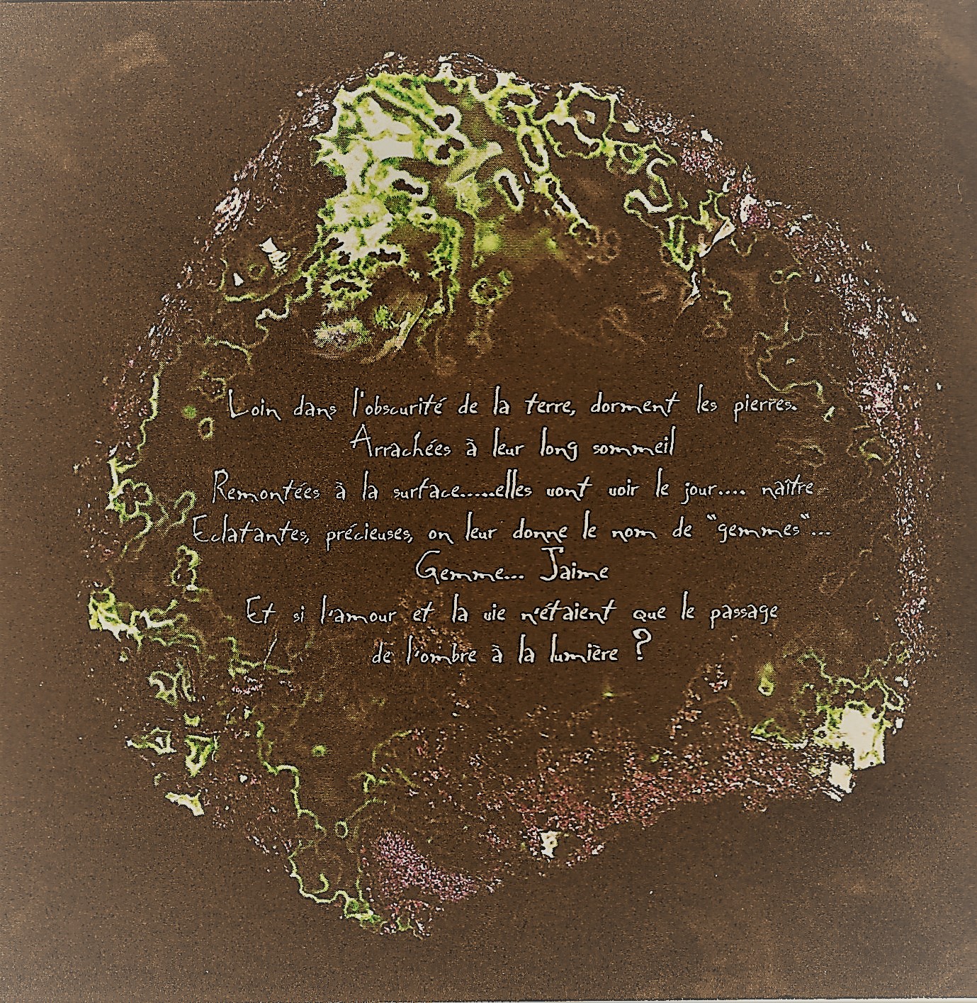 Image (2)