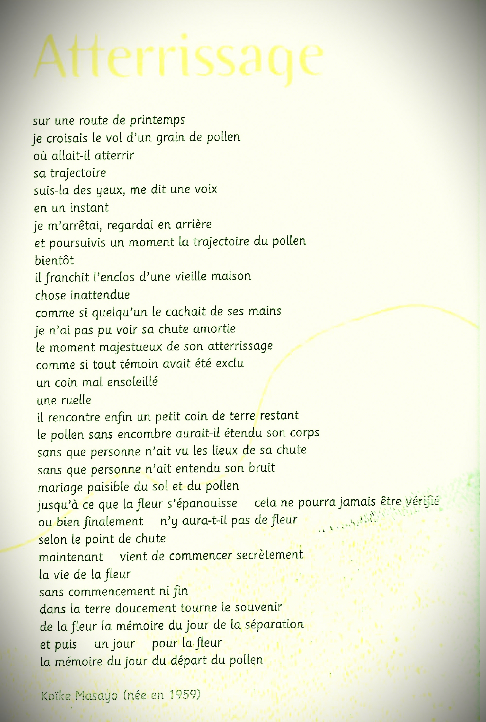poesie.jpg