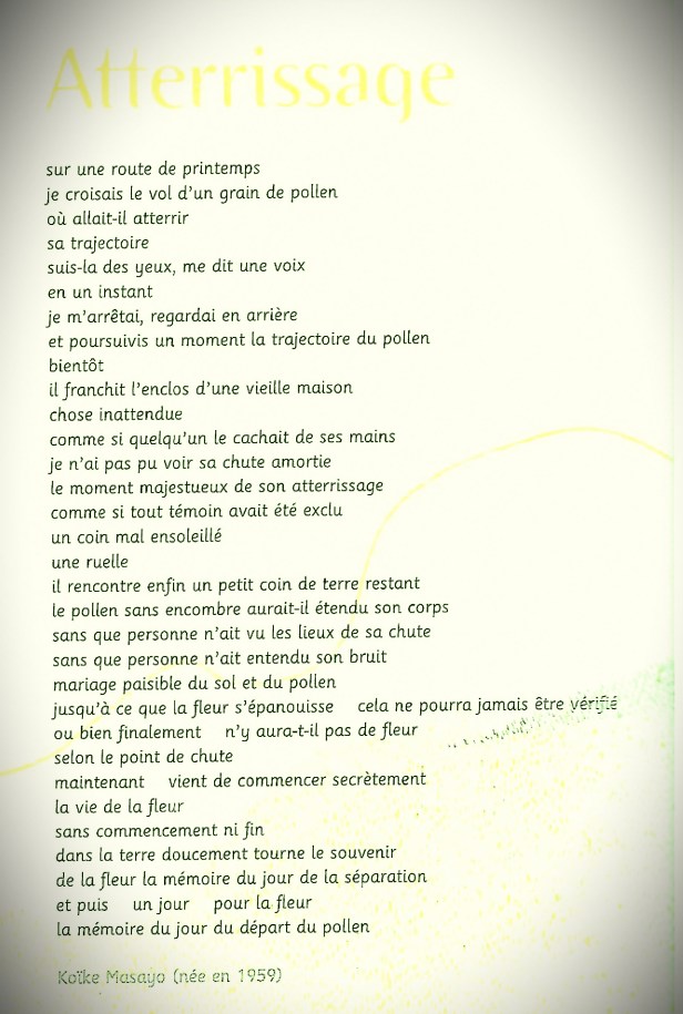 poesie.jpg