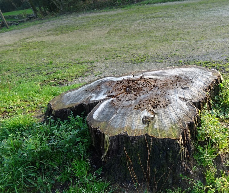 DSC01901 (Copier).JPG