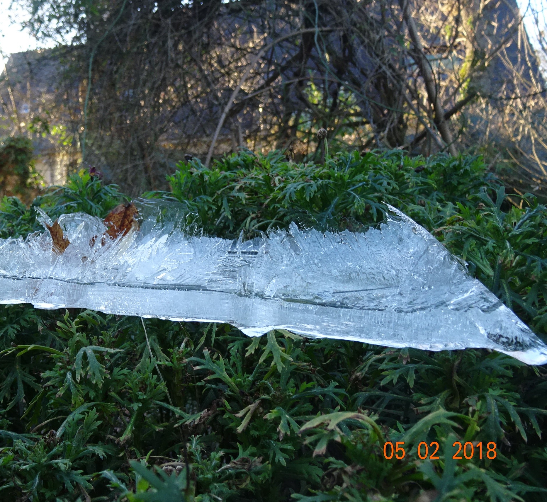 DSC01985