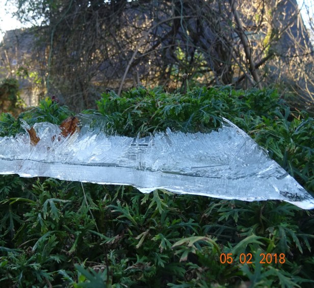 DSC01985