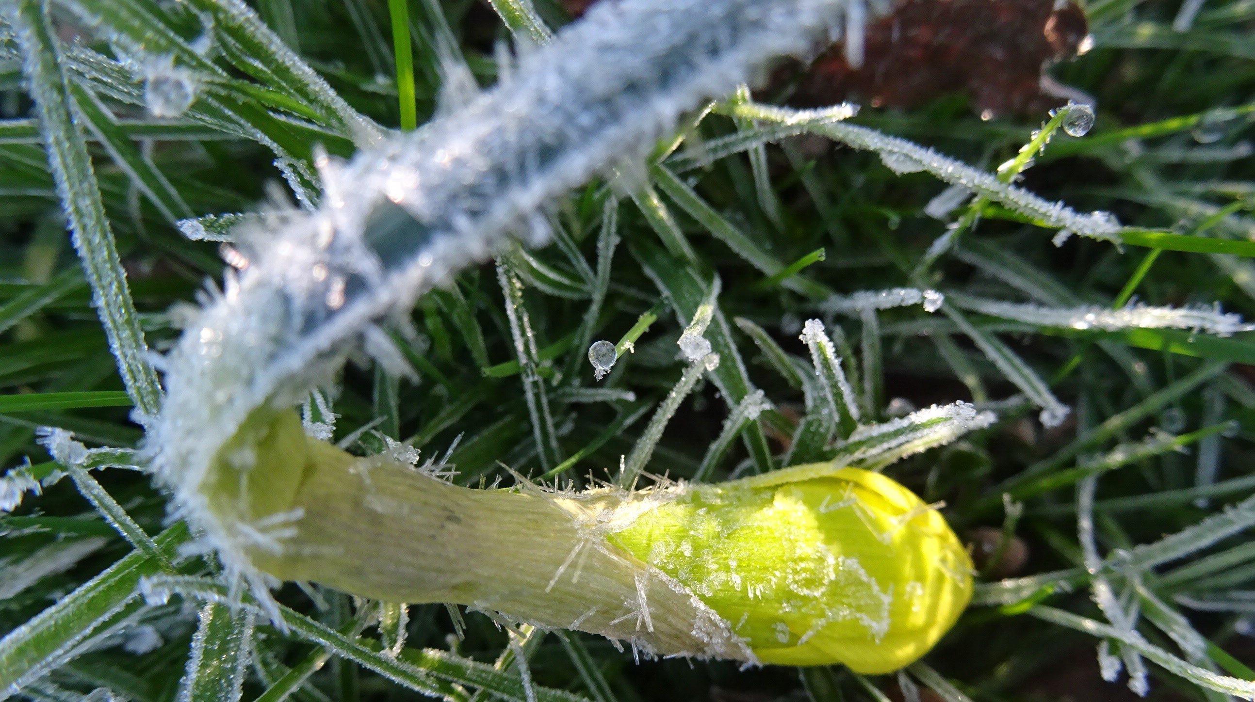 DSC02026