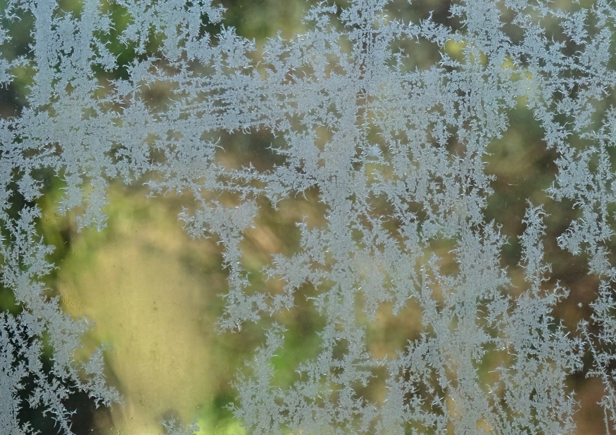  ♪ Donne-moi Une Seconde&nbsp;♪