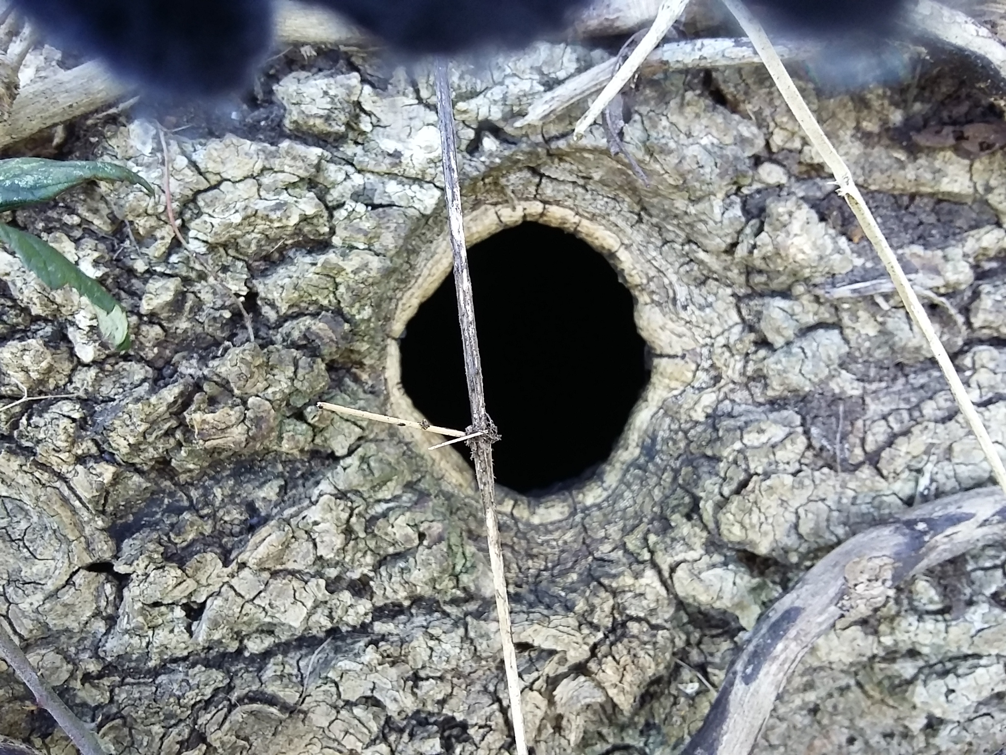 20180227_161921.jpg