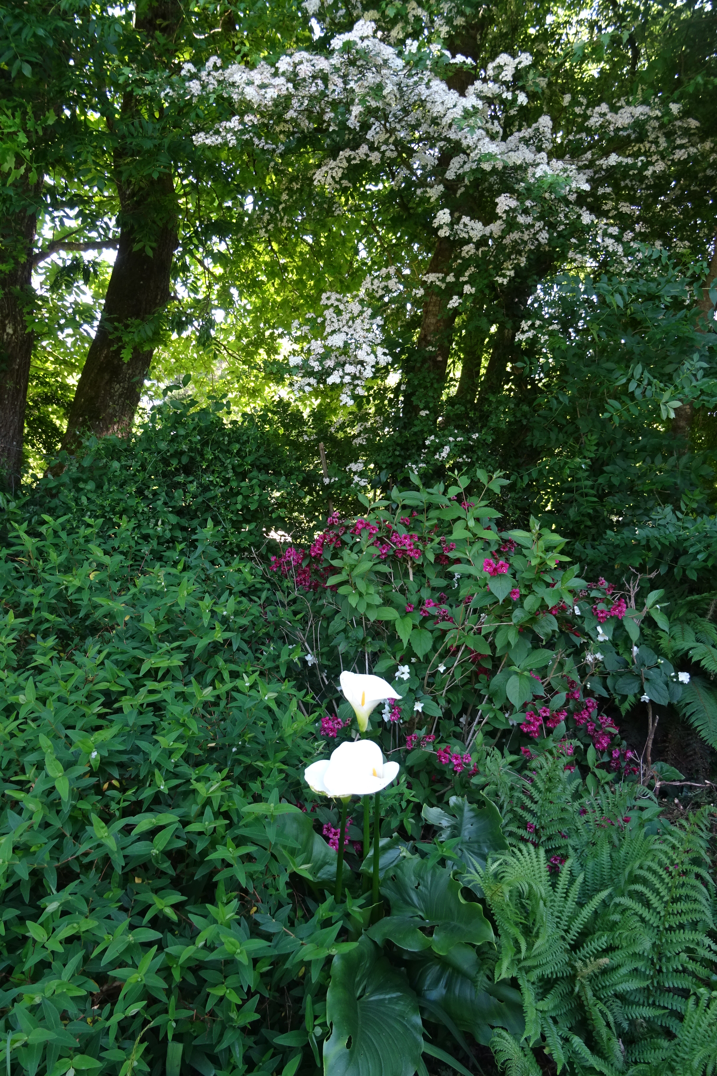 DSC02143