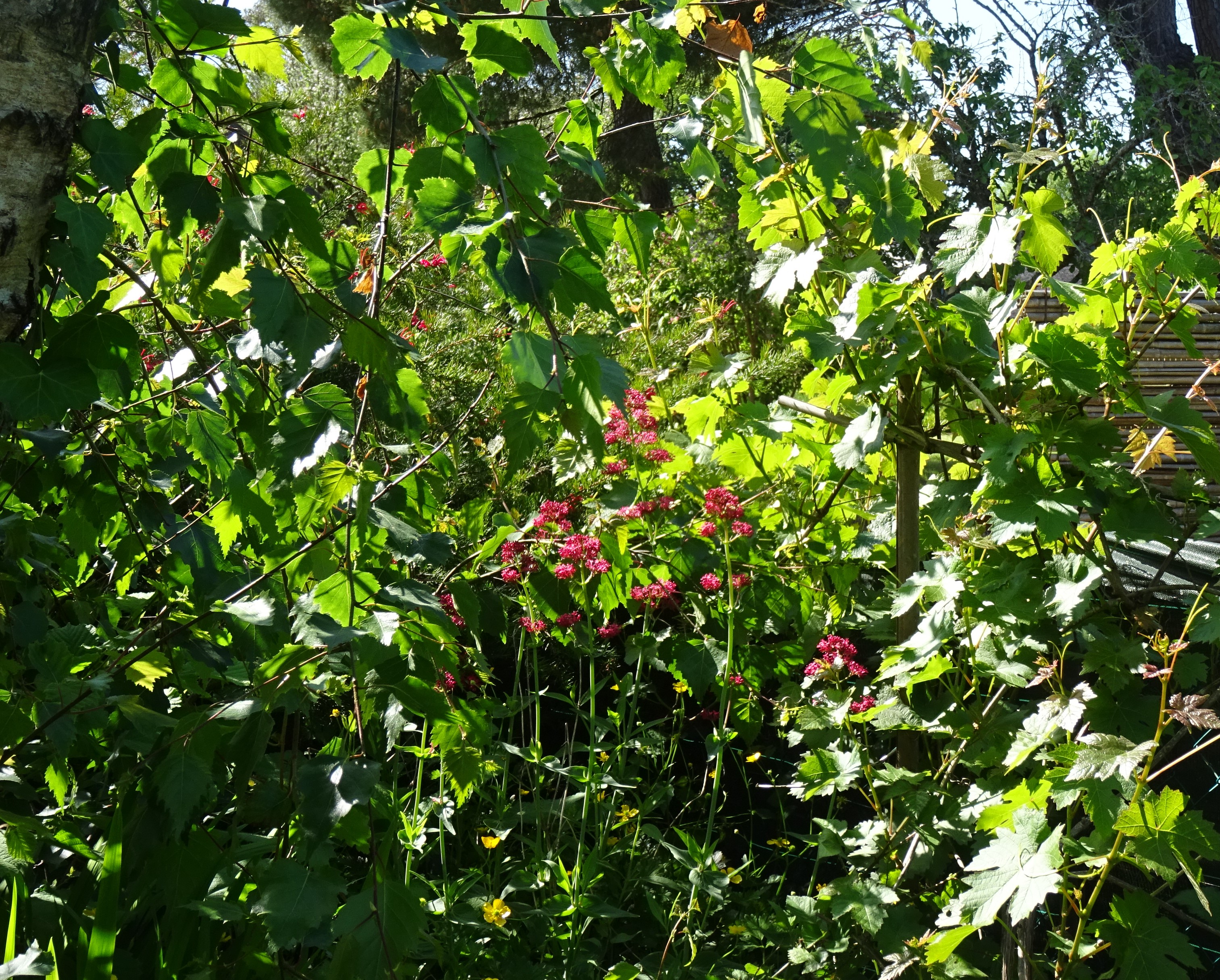 DSC02164