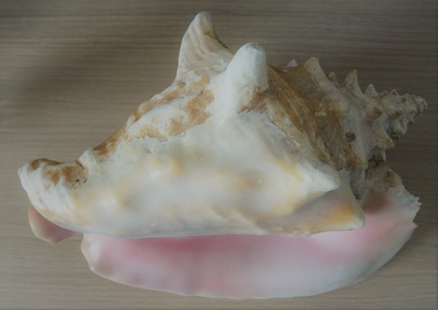 DSC02641