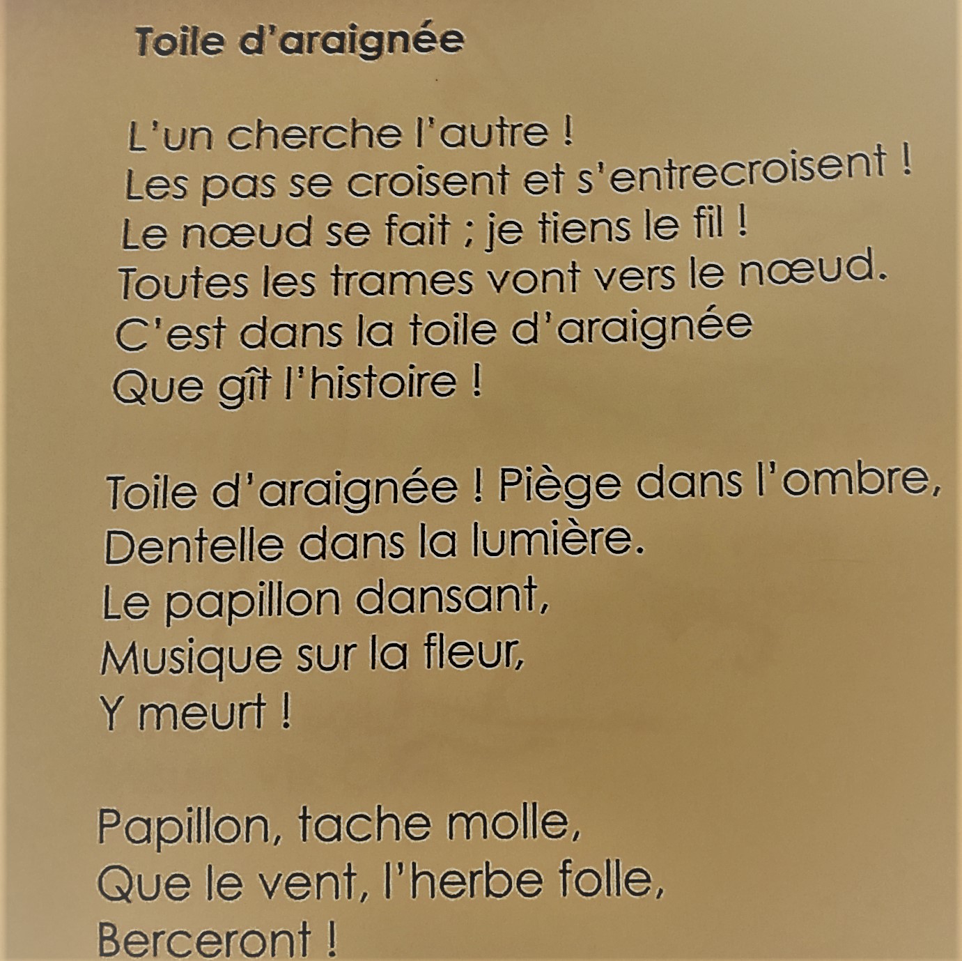 20180803_214807.jpg