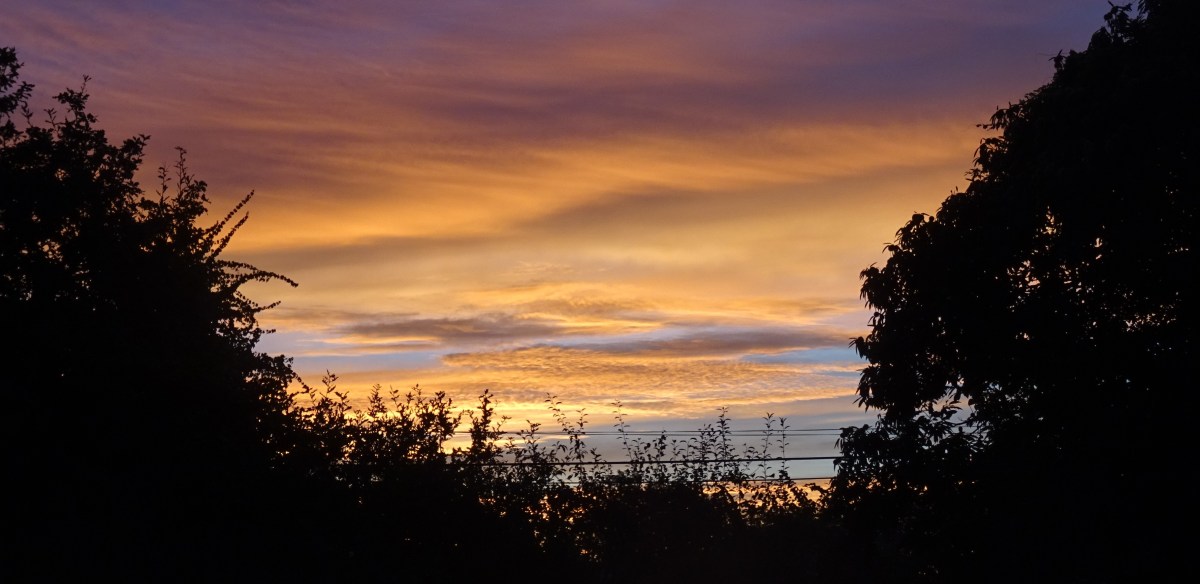 ♪ La Quête&nbsp;♪