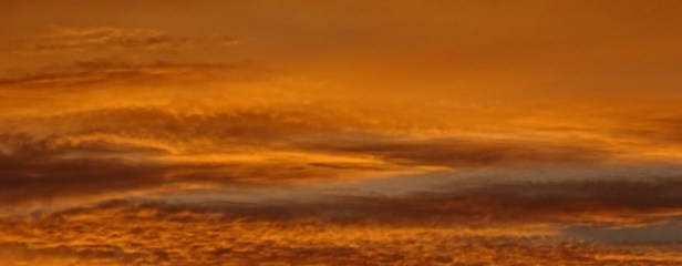 DSC02850