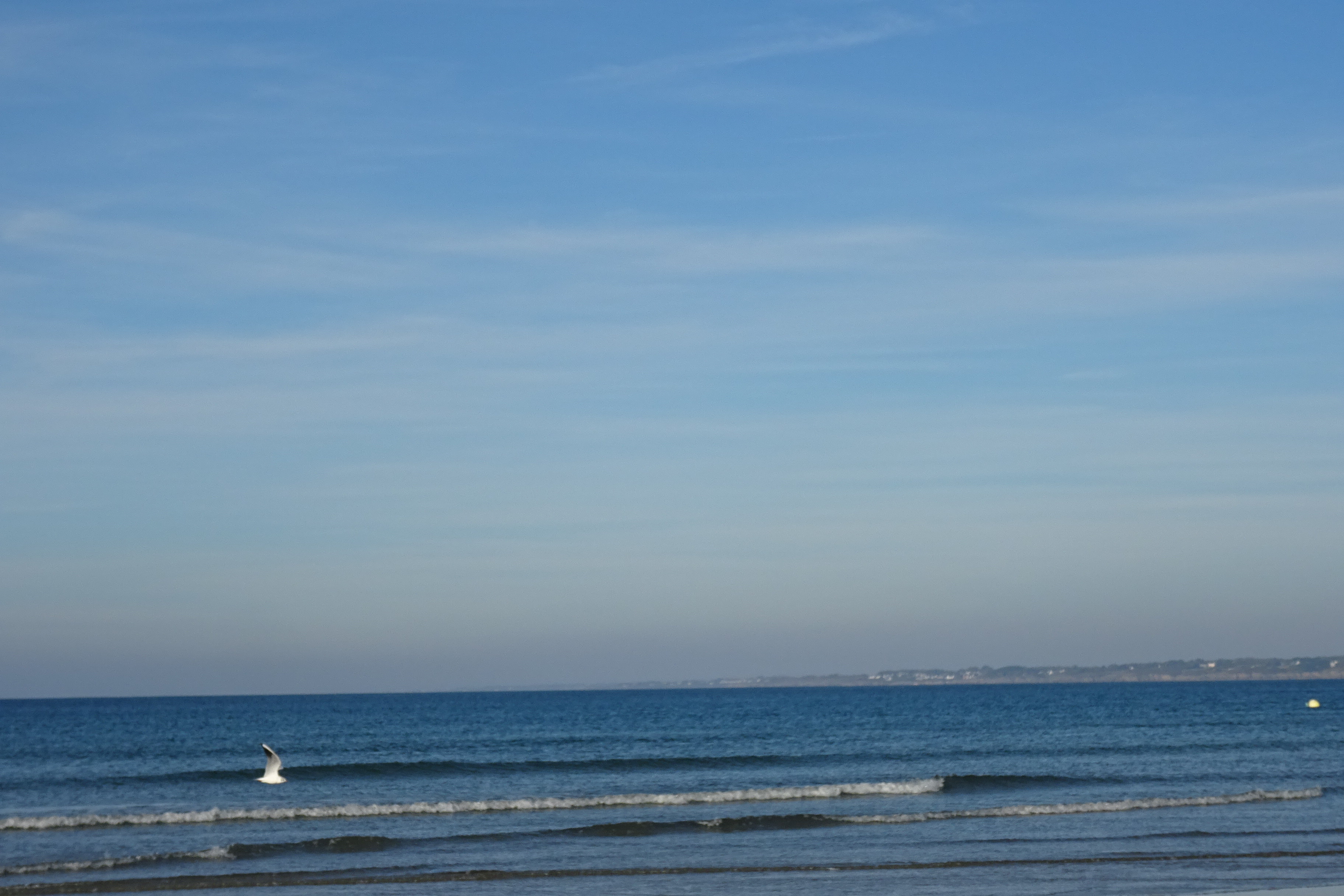 DSC02869.JPG