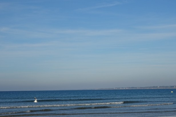 DSC02869.JPG