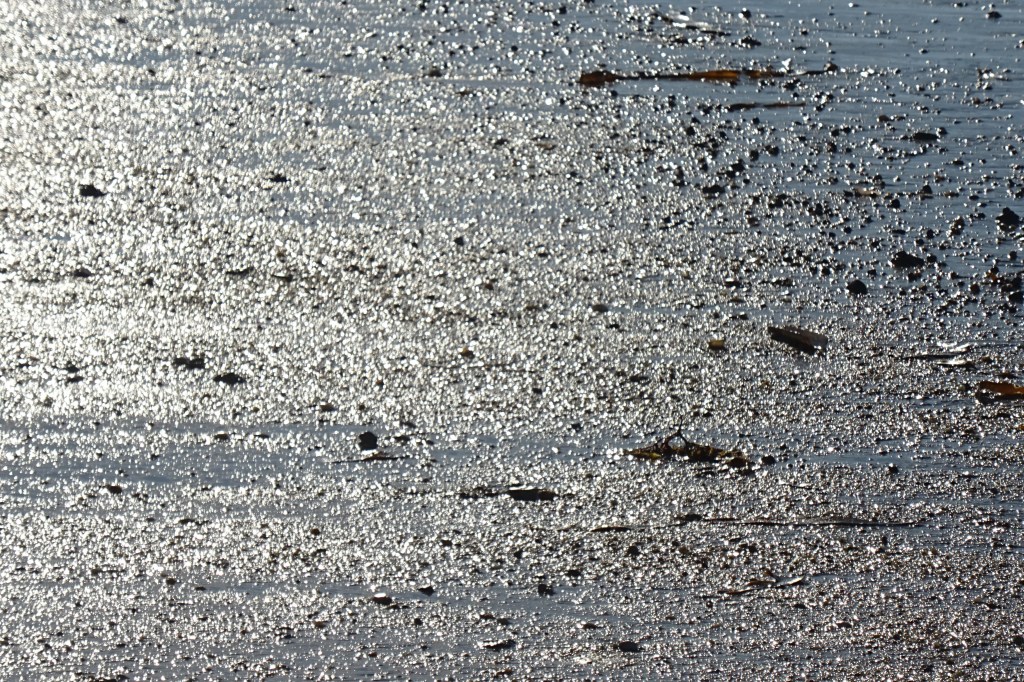La mer chante….