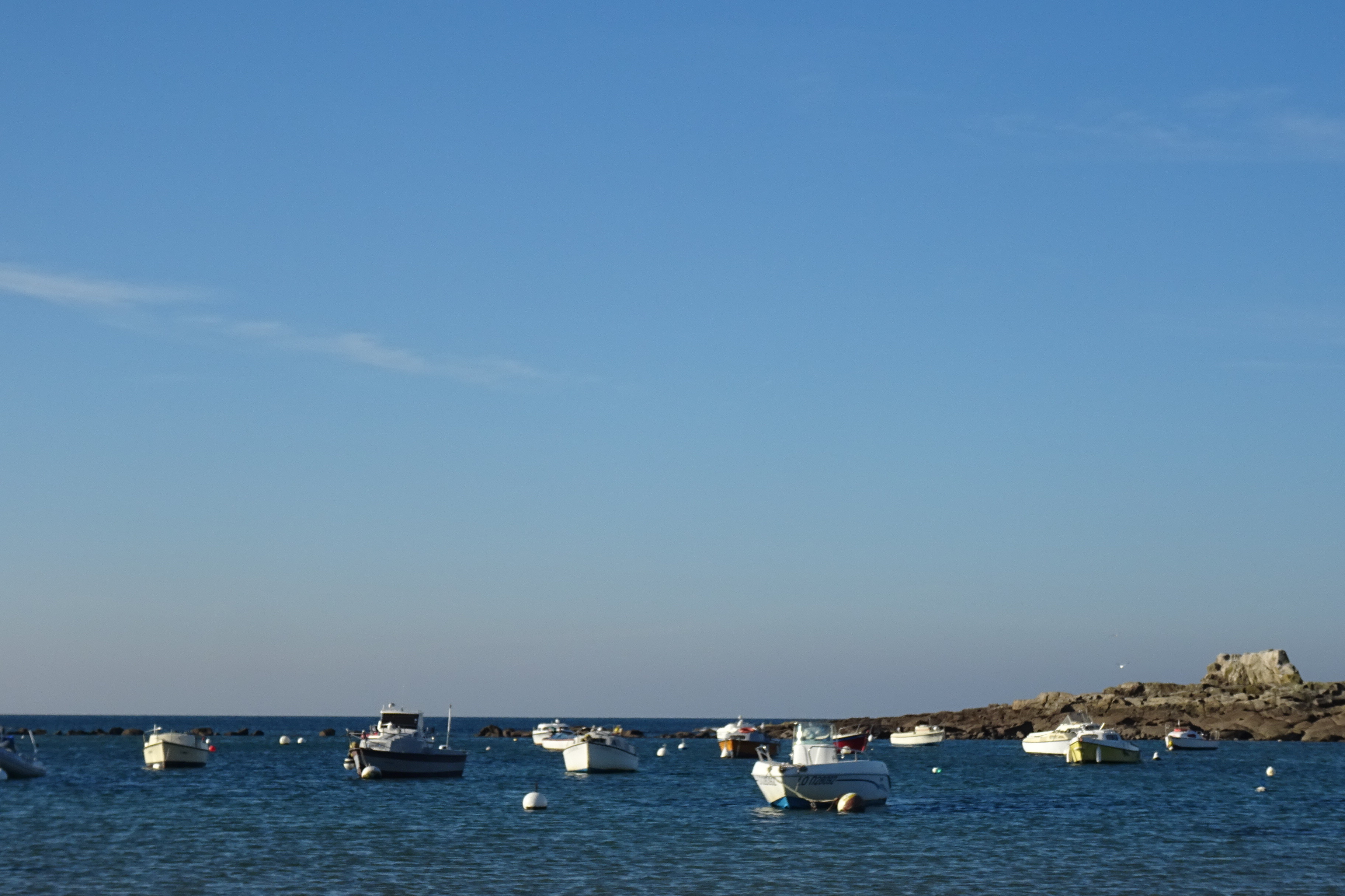 DSC02914
