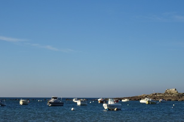 DSC02914