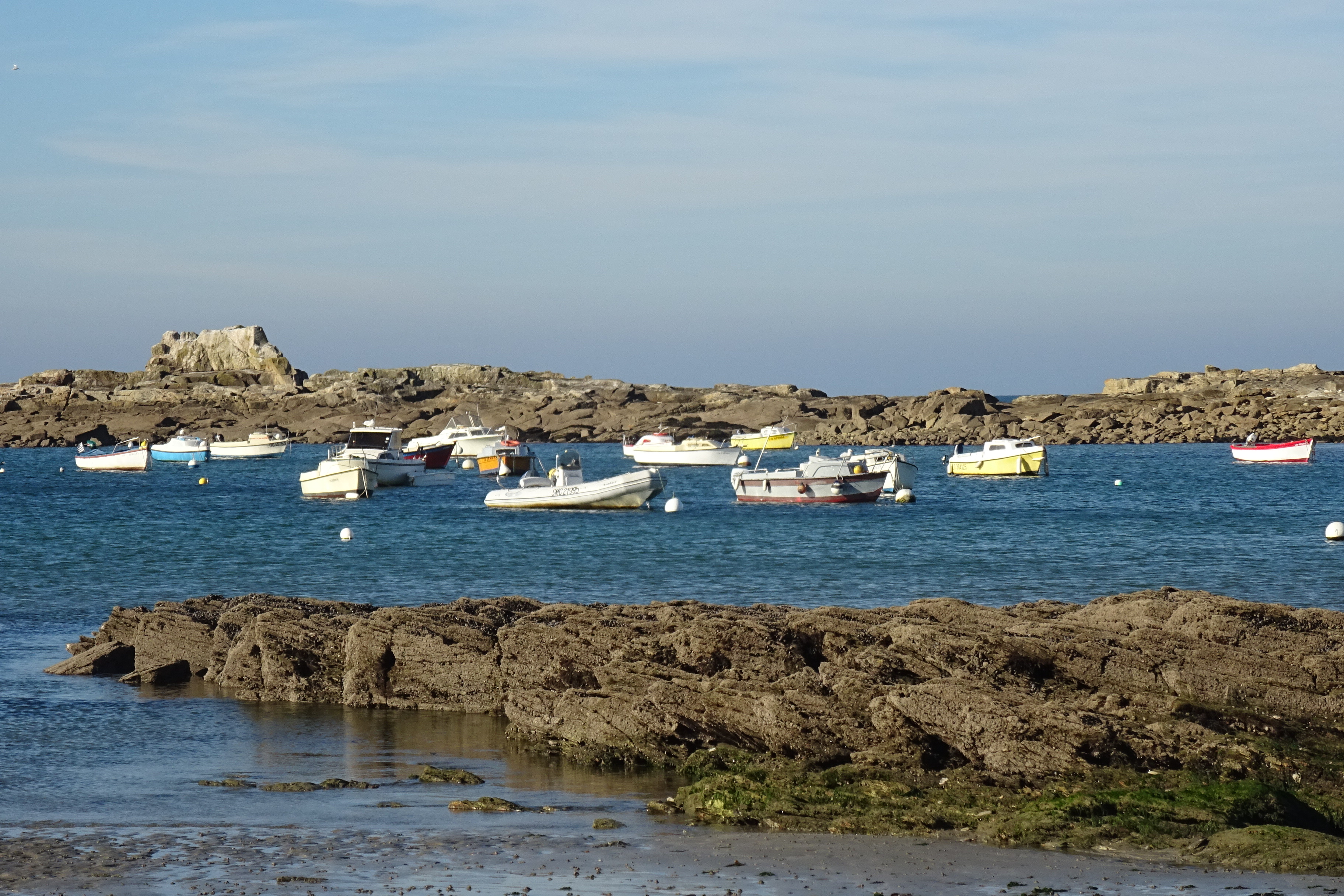 DSC02951.JPG