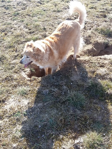 20181024_115019 (Copier).jpg