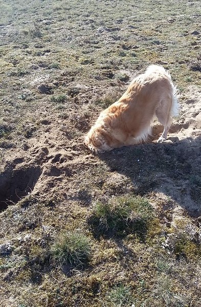 20181024_115031 (Copier).jpg