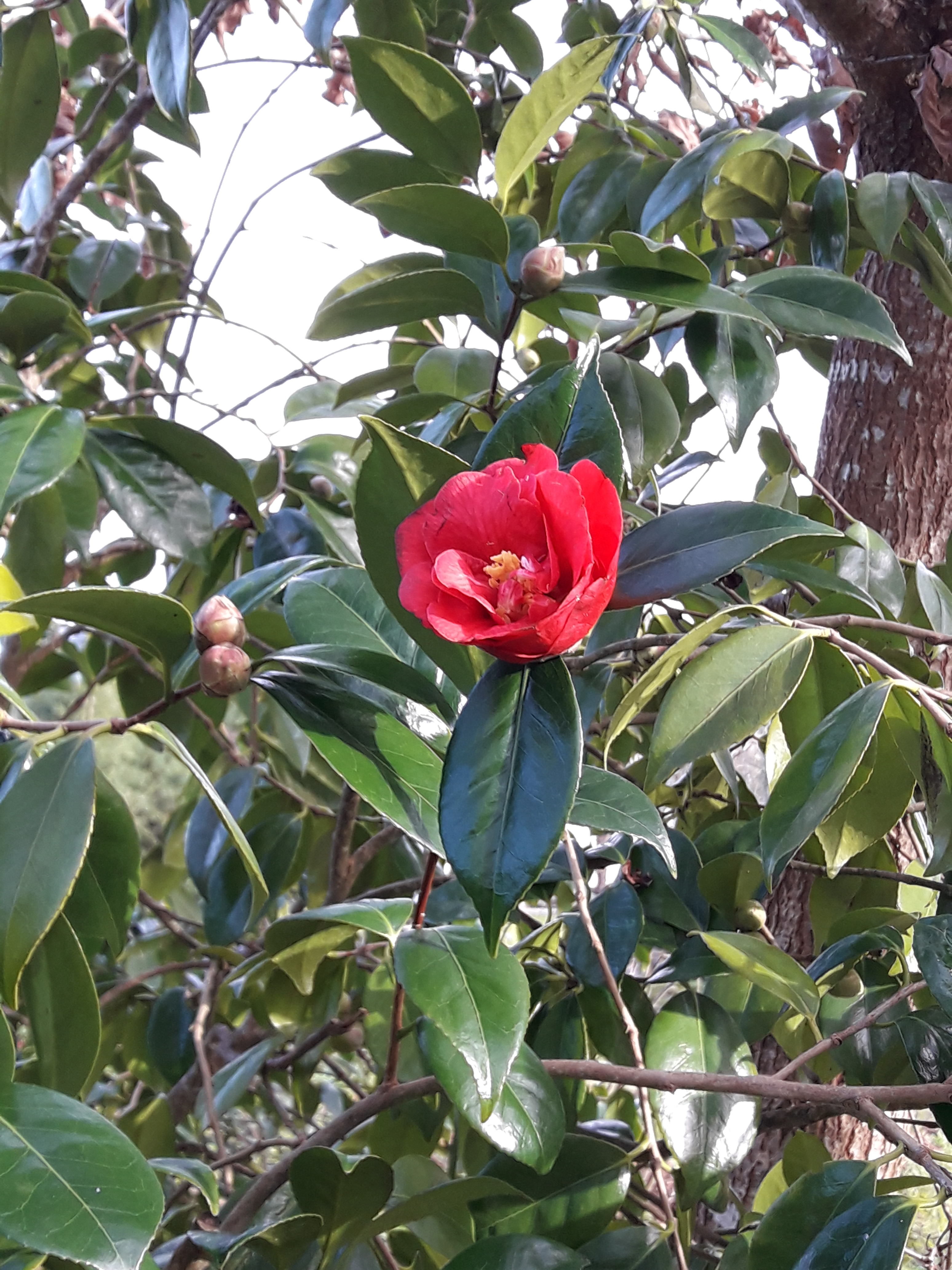 20190127_111536