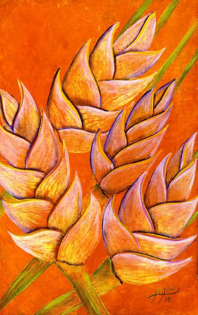 3199276153_1_14_cmnie2vj