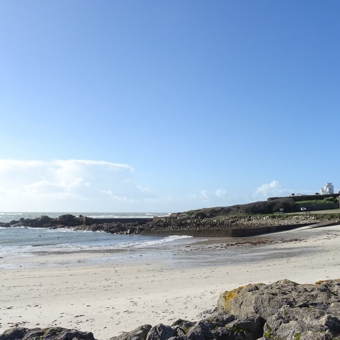 DSC03345 (Copier) - Copie