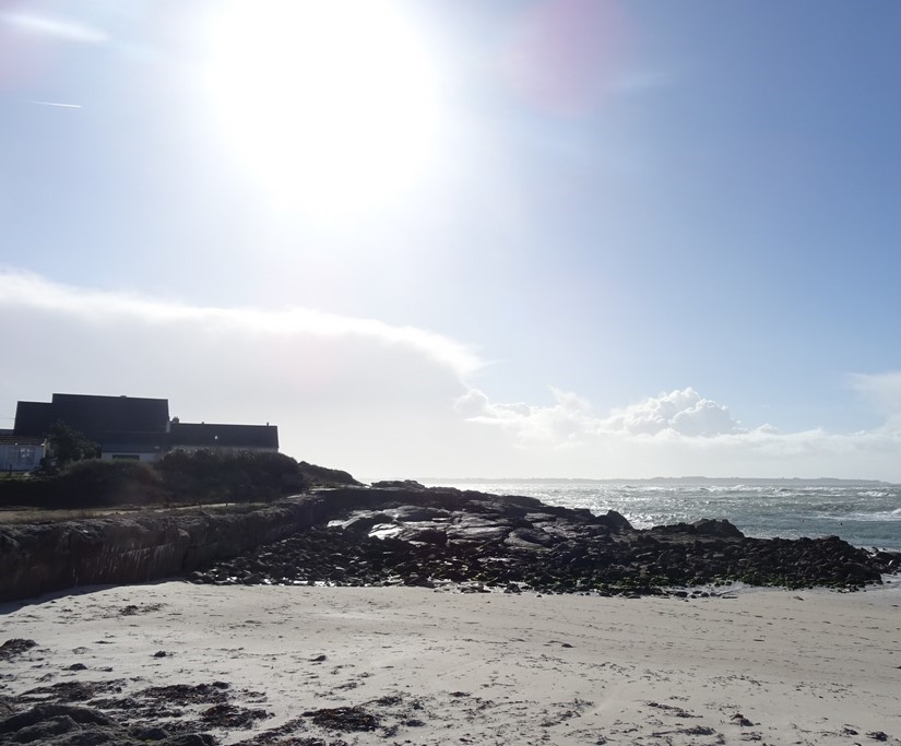 DSC03346 (Copier) - Copie