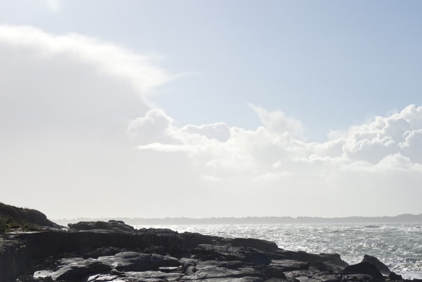 DSC03349 (Copier) - Copie