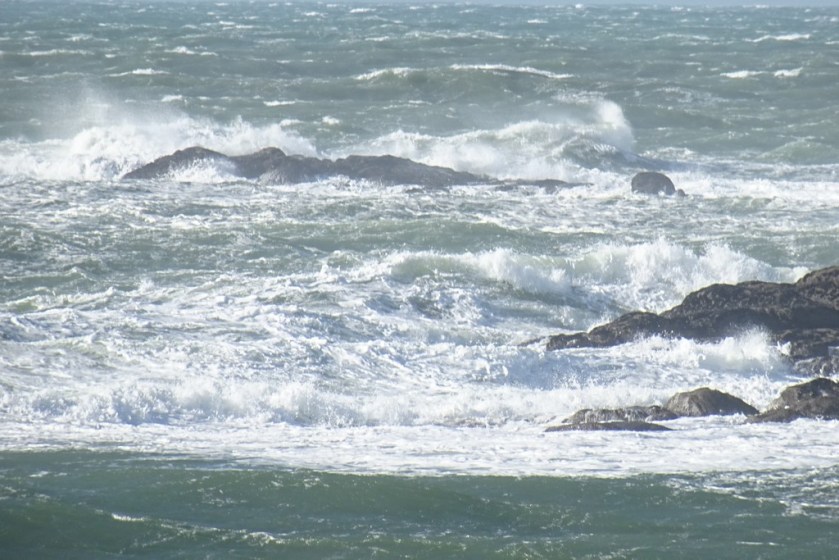 DSC03370 (Copier) - Copie