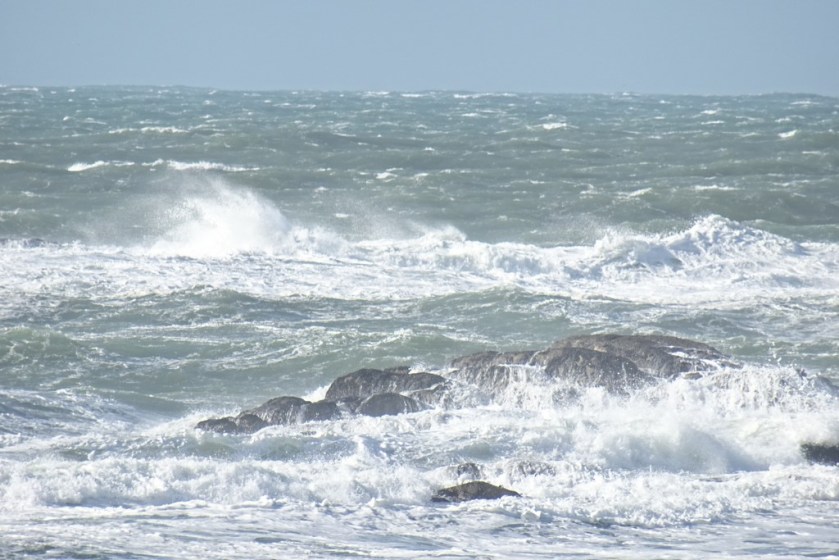 DSC03371 (Copier) - Copie