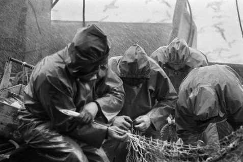 4-thersiporspironramendage