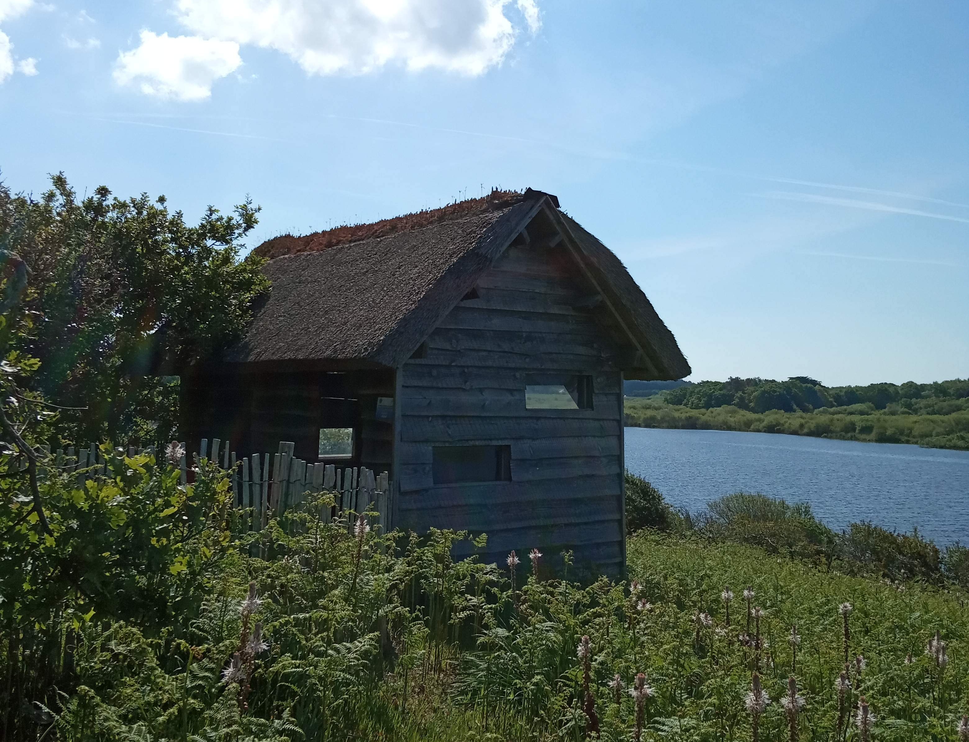 img_20190512_113218.jpg
