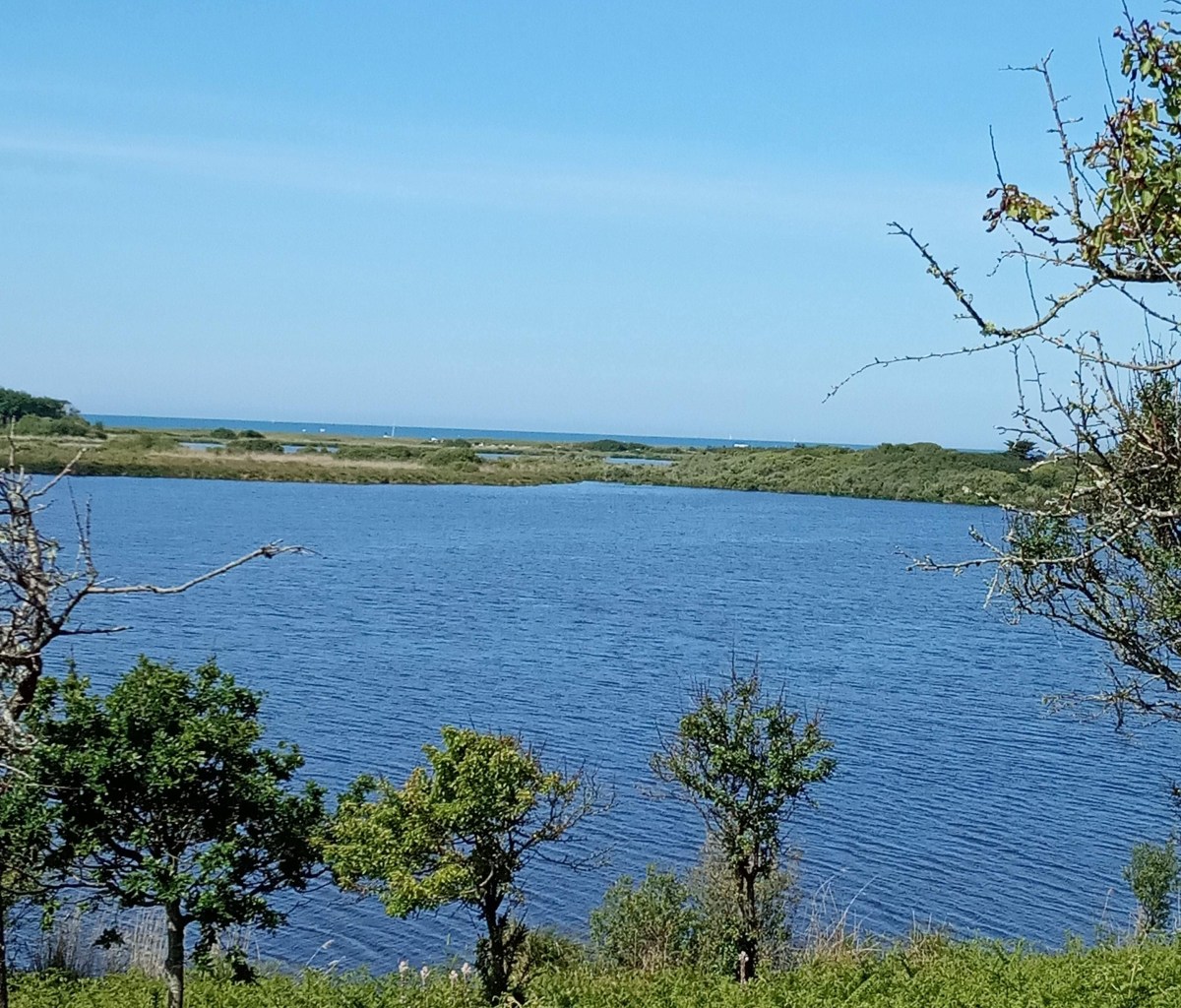 La cabane aux&nbsp;oiseaux…