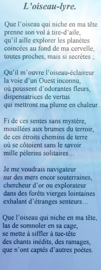 29606_298968636879755_920137413_n