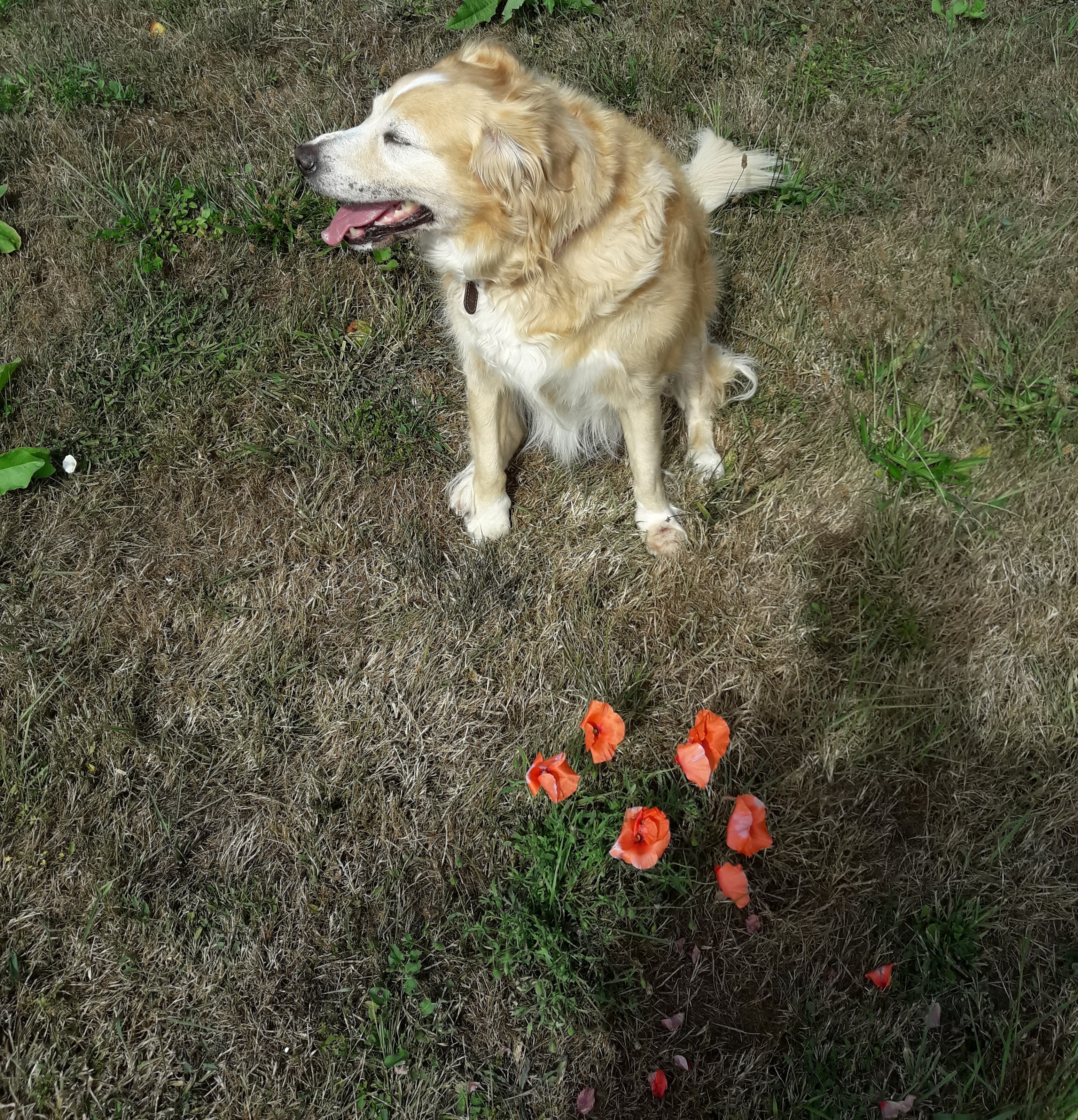 20190728_114518.jpg
