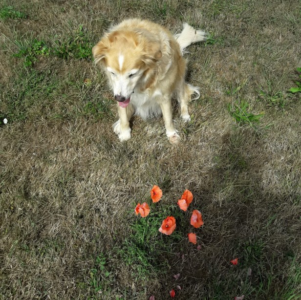 20190728_114526.jpg
