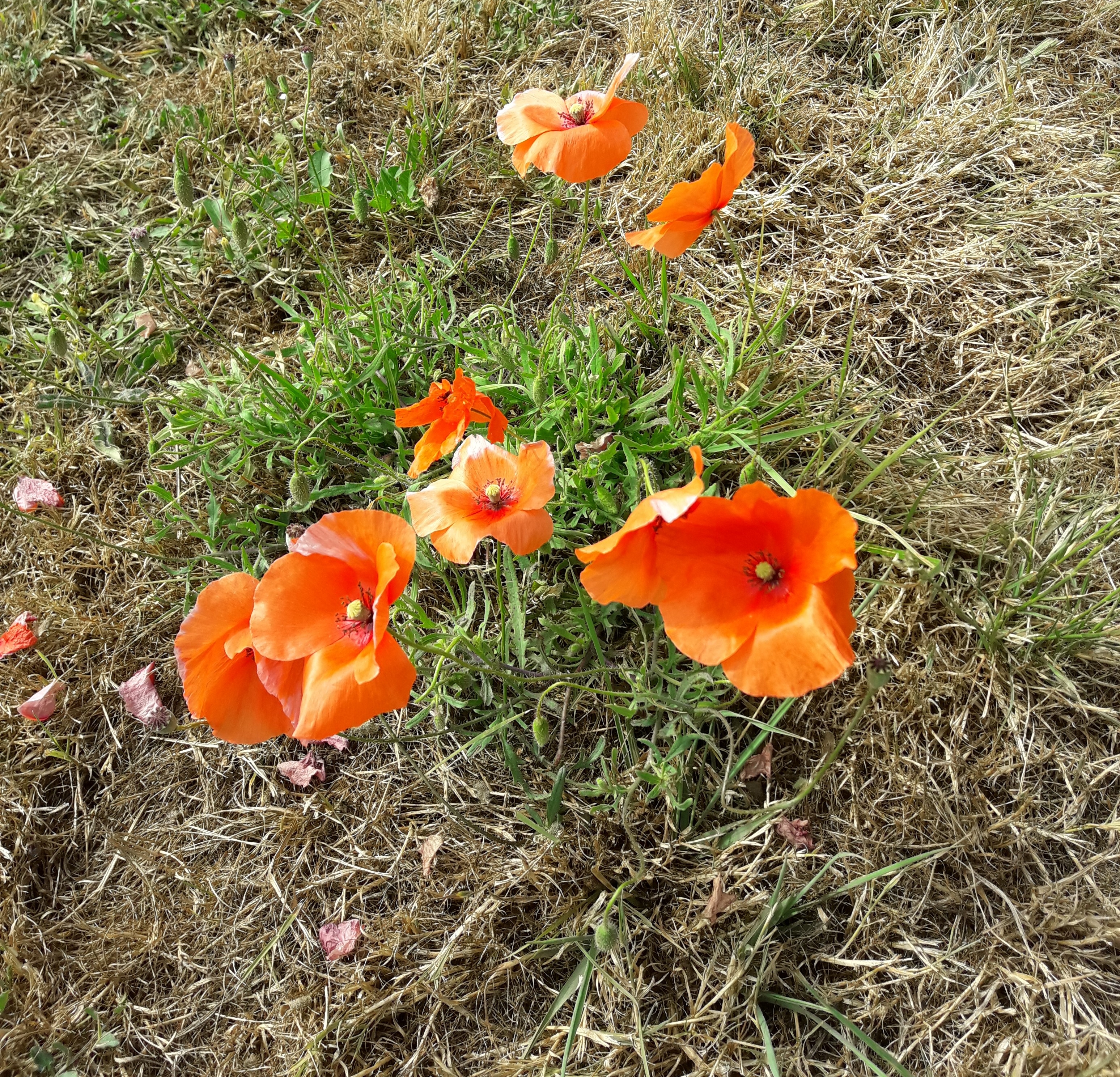 20190728_114547.jpg