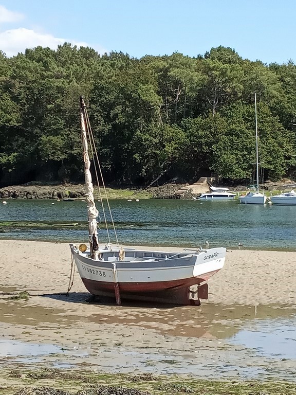 IMG_20190821_152409 (Copier)