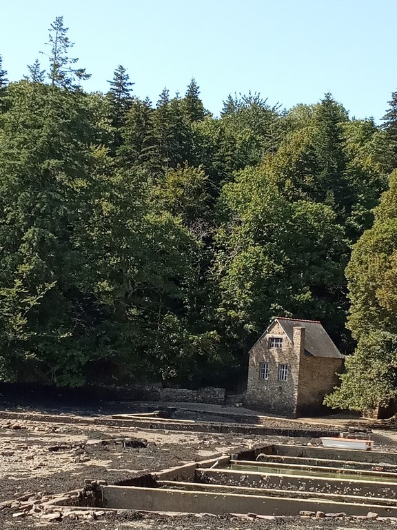 IMG_20190821_153924 (Copier).jpg