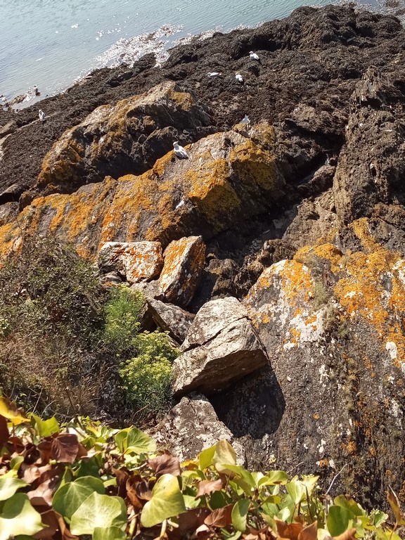 IMG_20190821_171739 (Copier)