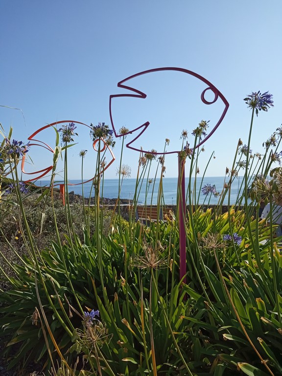 IMG_20190821_172019 (Copier)