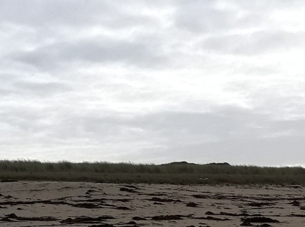 20190928_105212