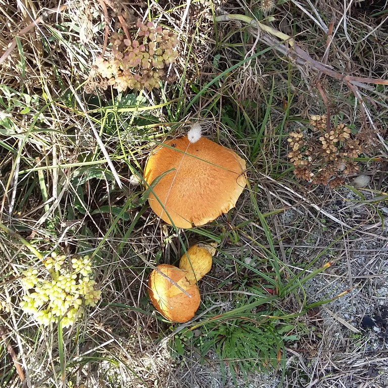 20191006_111507.jpg